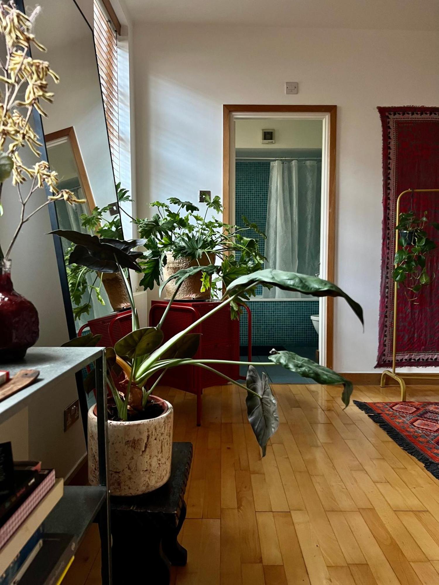 Affittacamere Creative Oasis In The Heart Of *