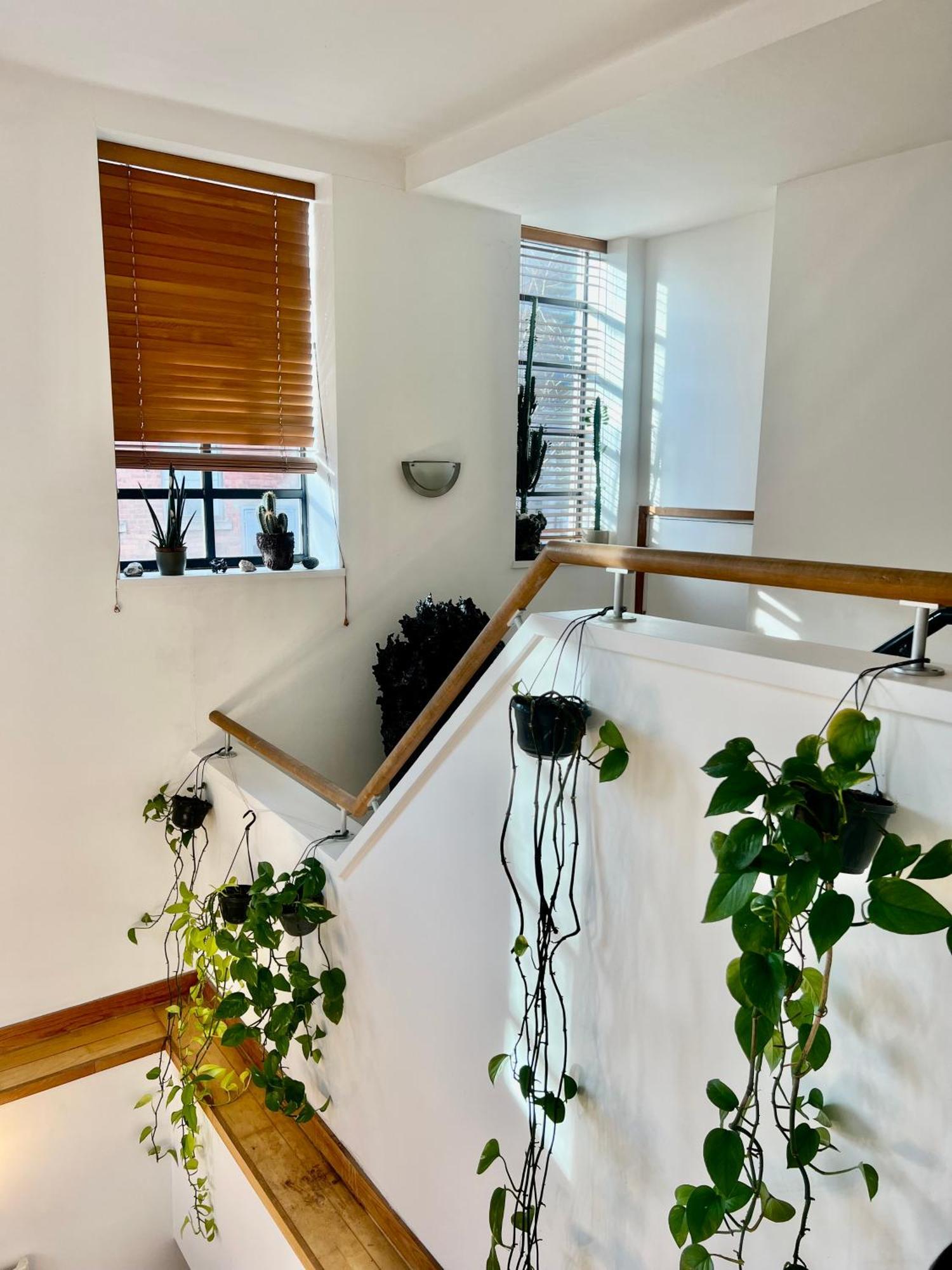 Affittacamere Creative Oasis In The Heart Of