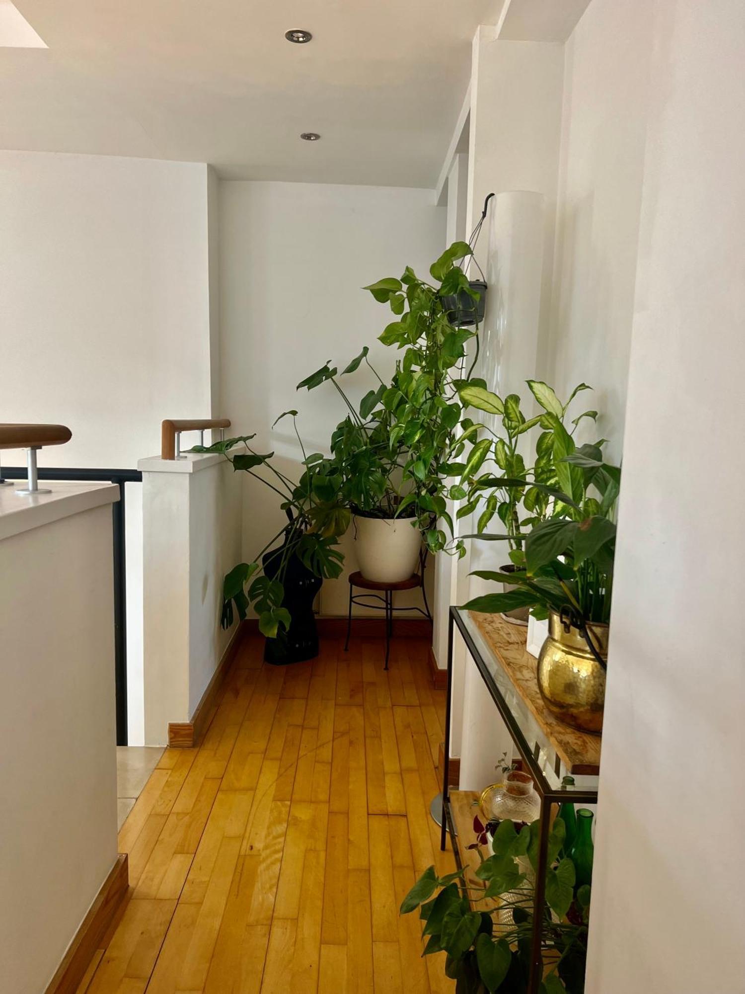 Affittacamere Creative Oasis In The Heart Of *