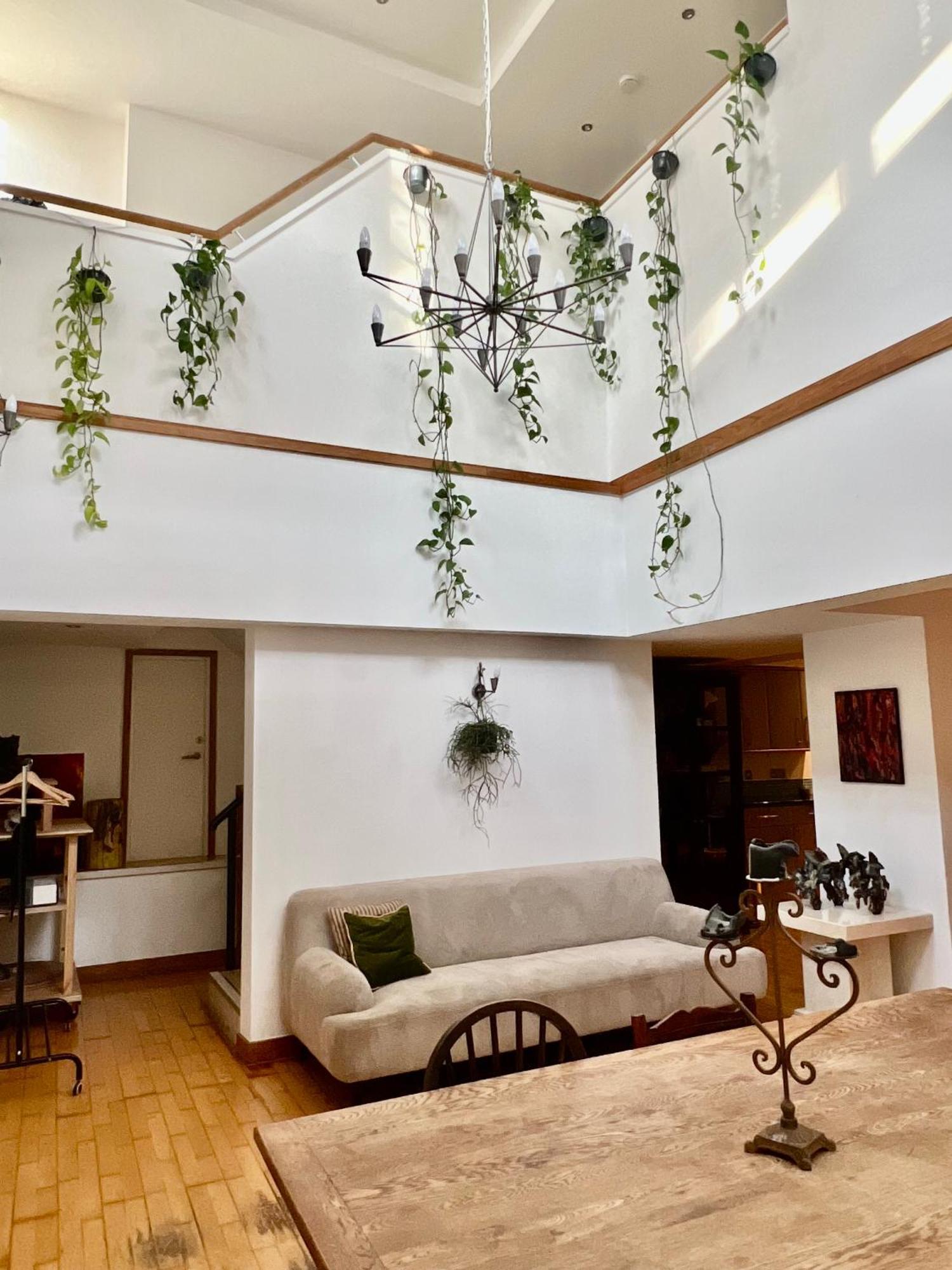 Creative Oasis In The Heart Of * Londra