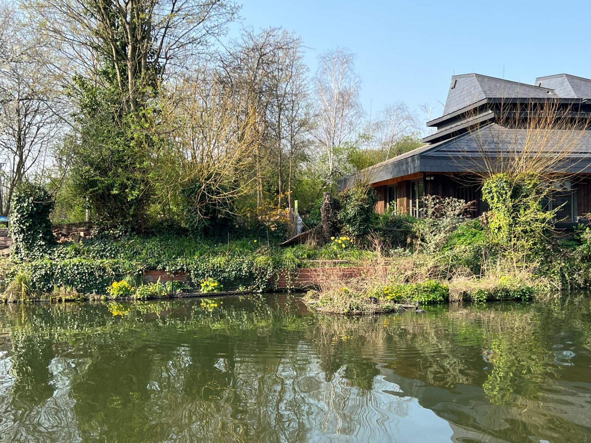Creative Oasis In The Heart Of Affittacamere